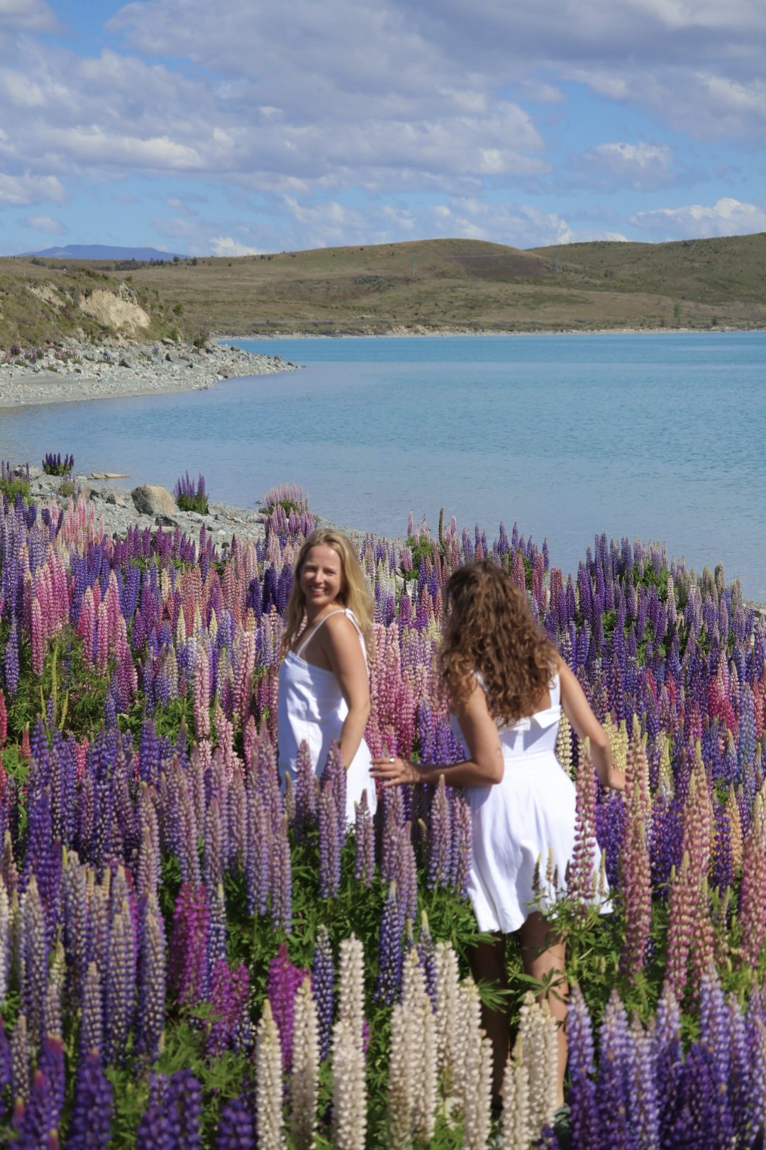 5 Day Lupin Bloom & Epic Hiking in New Zealand Itinerary — RADDENOYER